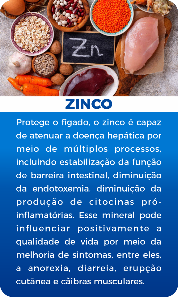 Zinco-1.png
